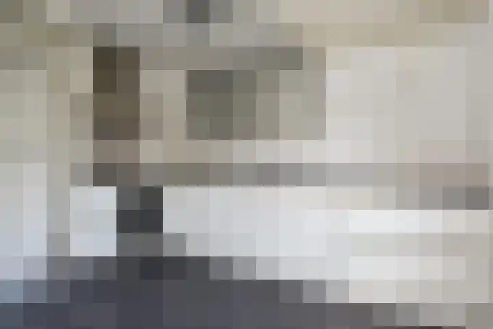 Zomereik 34 Den Haag thumbnail 15