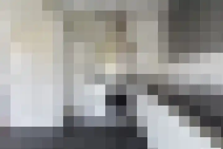 Zomereik 34 Den Haag thumbnail 16