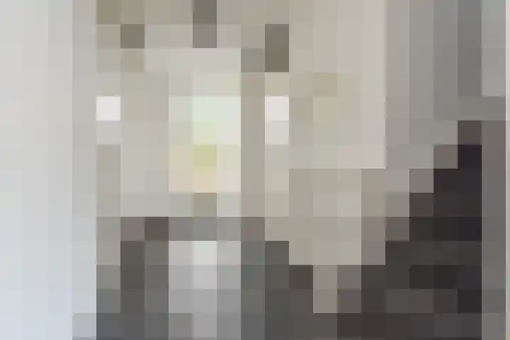 Zomereik 34 Den Haag thumbnail 22