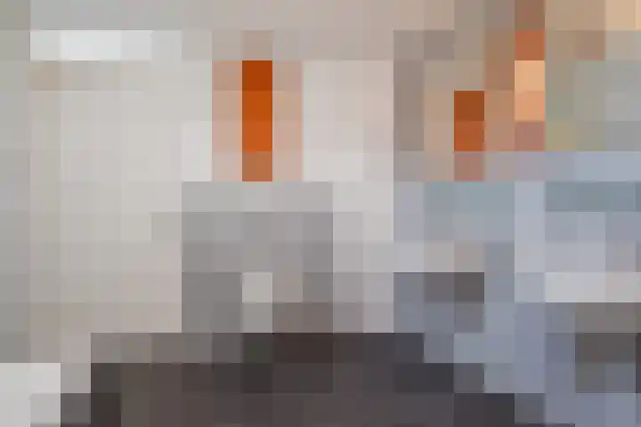Zomereik 34 Den Haag thumbnail 27