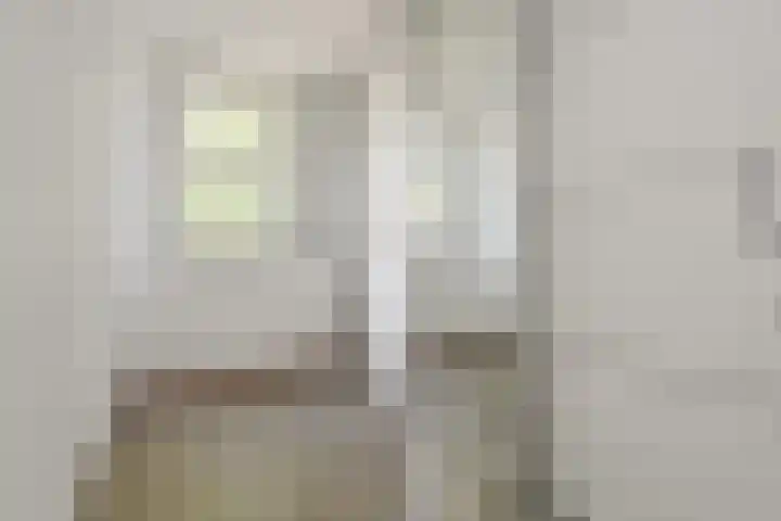 Zomereik 34 Den Haag thumbnail 32
