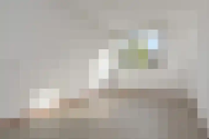 Zomereik 34 Den Haag thumbnail 36