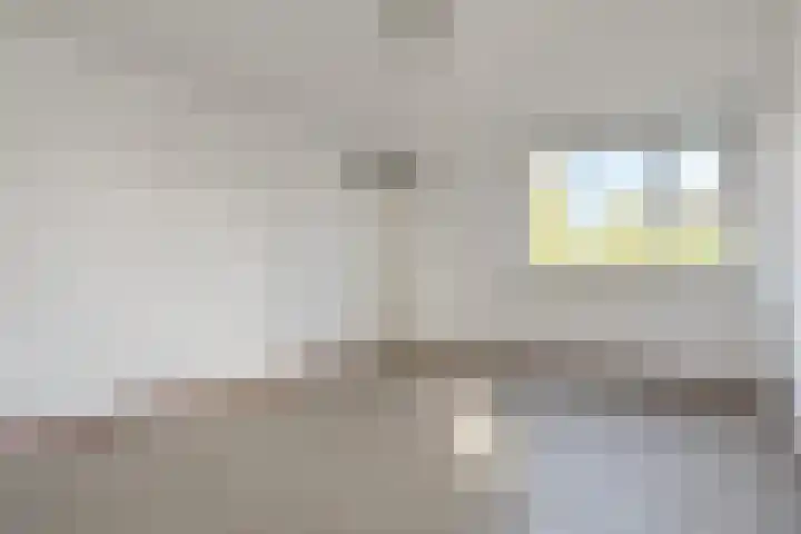 Zomereik 34 Den Haag thumbnail 37