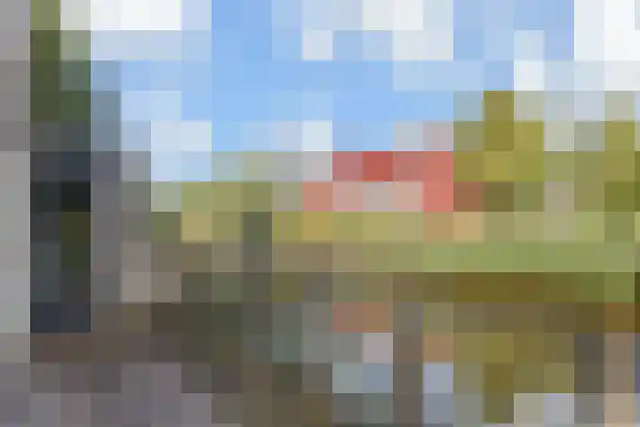 Zomereik 34 Den Haag thumbnail 4
