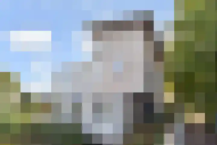 Zomereik 34 Den Haag thumbnail 43