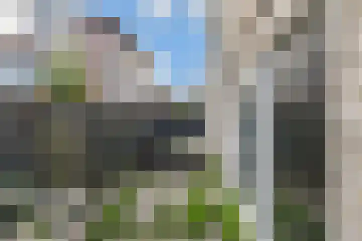 Zomereik 34 Den Haag thumbnail 44