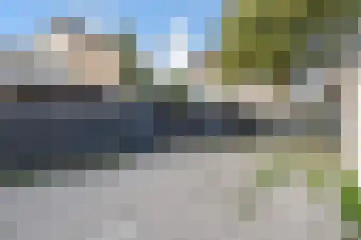Zomereik 34 Den Haag thumbnail 45