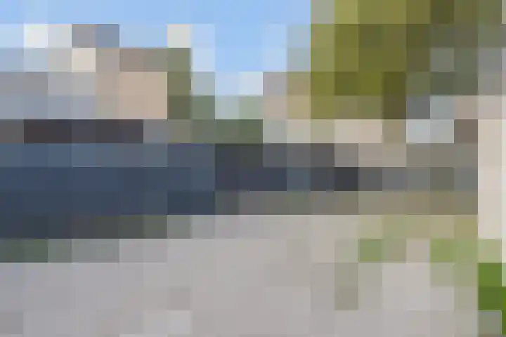 Zomereik 34 Den Haag thumbnail 46