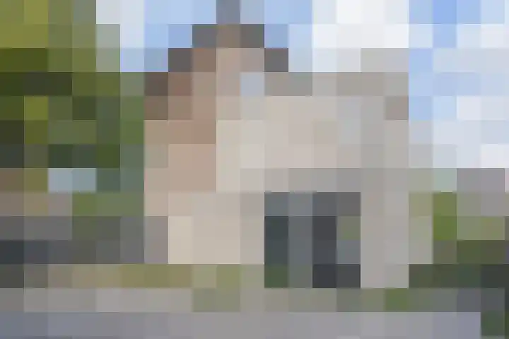 Zomereik 34 Den Haag thumbnail 47