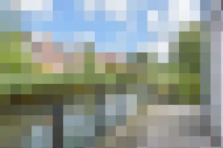 Zomereik 34 Den Haag thumbnail 49