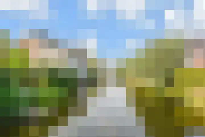 Zomereik 34 Den Haag thumbnail 5