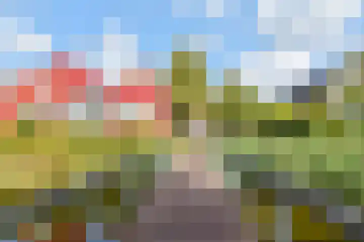 Zomereik 34 Den Haag thumbnail 50