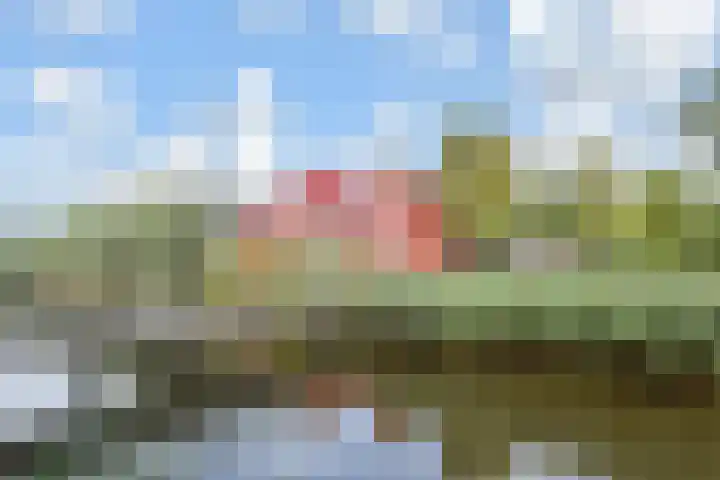 Zomereik 34 Den Haag thumbnail 51