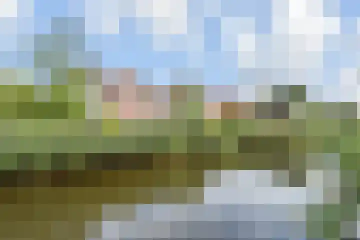 Zomereik 34 Den Haag thumbnail 52