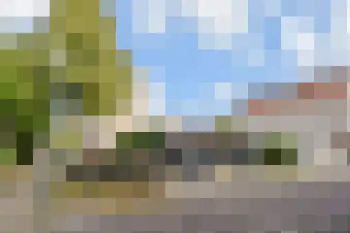 Zomereik 34 Den Haag thumbnail 53