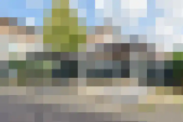 Zomereik 34 Den Haag thumbnail 55