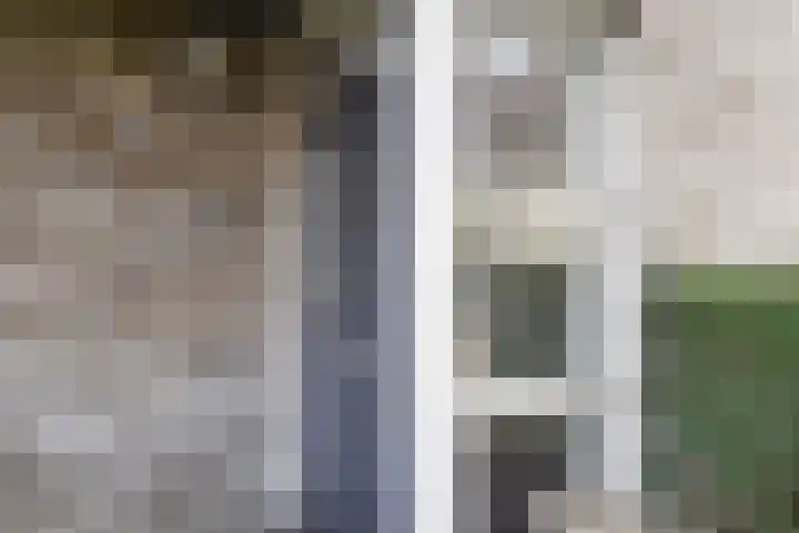 Zomereik 34 Den Haag thumbnail 6