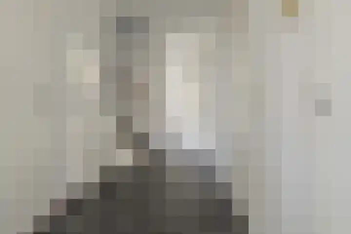 Zomereik 34 Den Haag thumbnail 9