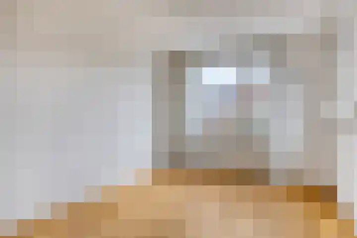Zomereik 4 Eindhoven thumbnail 15