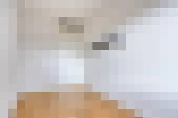 Zomereik 4 Eindhoven thumbnail 17