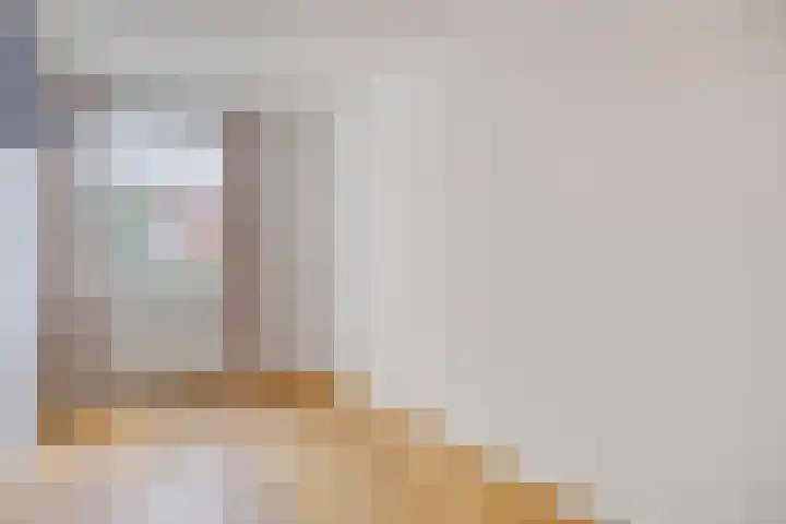 Zomereik 4 Eindhoven thumbnail 18
