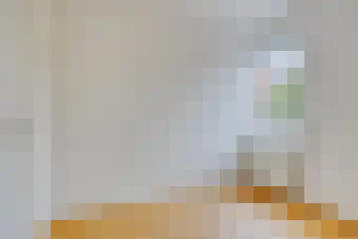Zomereik 4 Eindhoven thumbnail 20