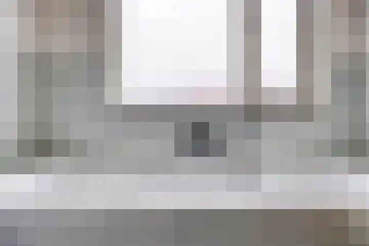 Zomereik 4 Eindhoven thumbnail 23
