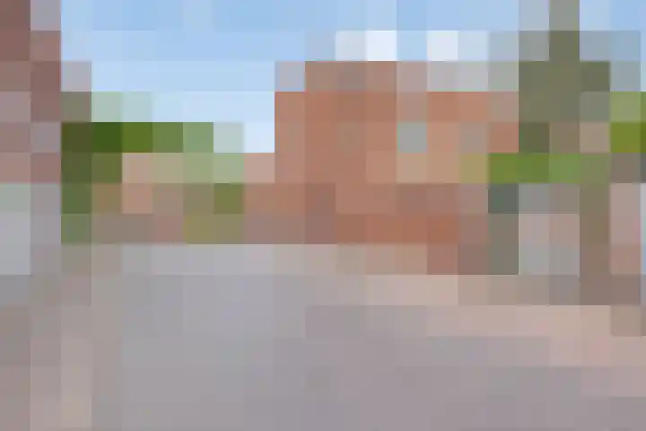 Zomereik 4 Eindhoven thumbnail 35