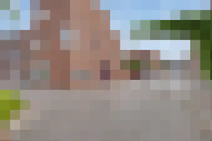 Zomereik 4 Eindhoven thumbnail 36