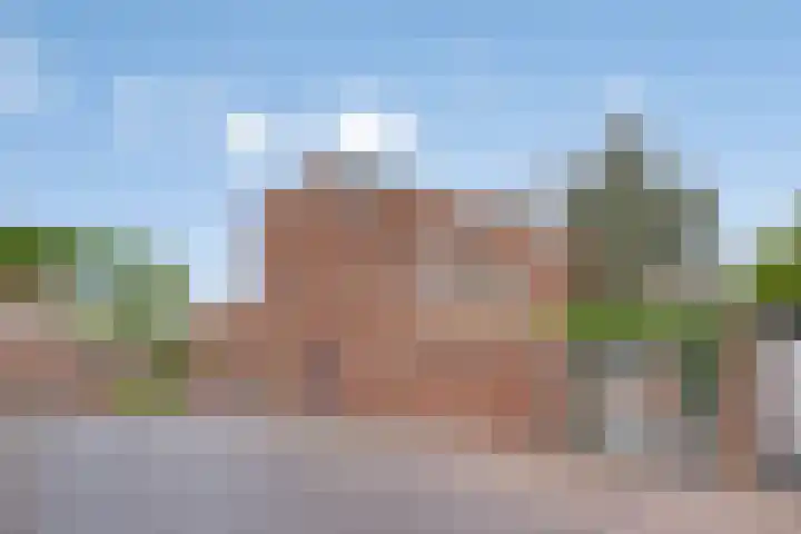 Zomereik 4 Eindhoven thumbnail 37
