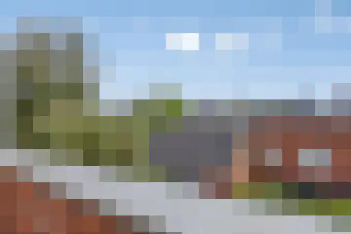 Zomereik 4 Eindhoven thumbnail 39