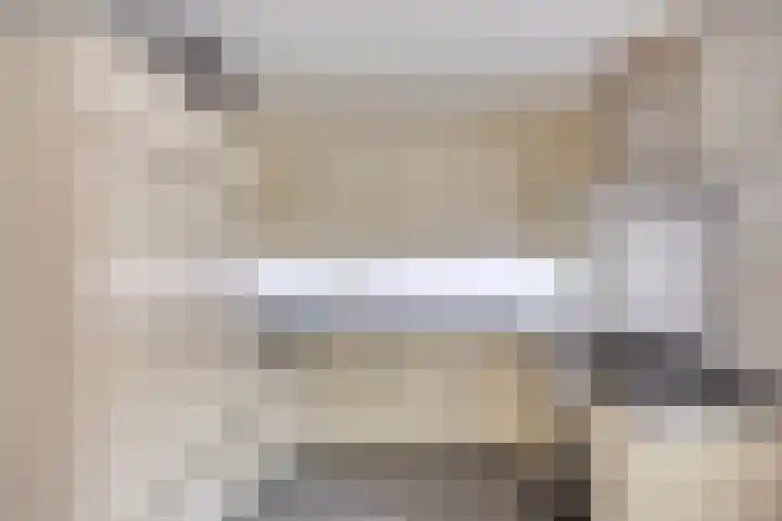 Zomereik 4 Eindhoven thumbnail 4