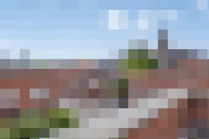 Zomereik 4 Eindhoven thumbnail 40