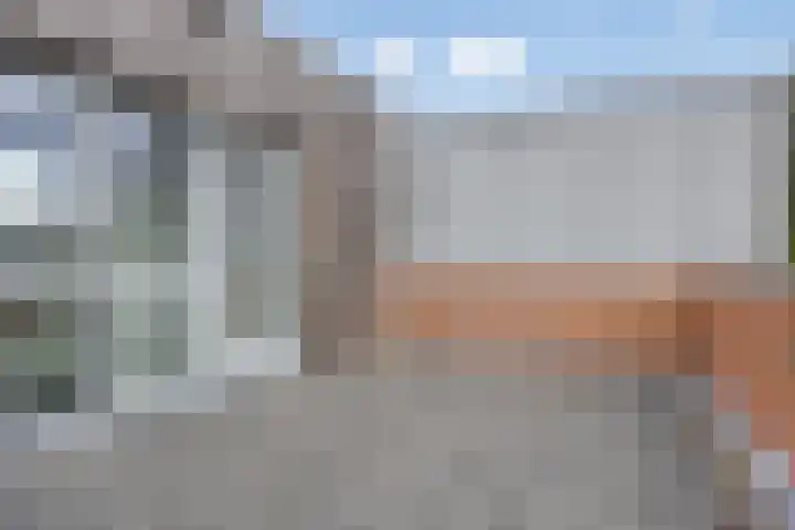 Zomereik 4 Eindhoven thumbnail 42