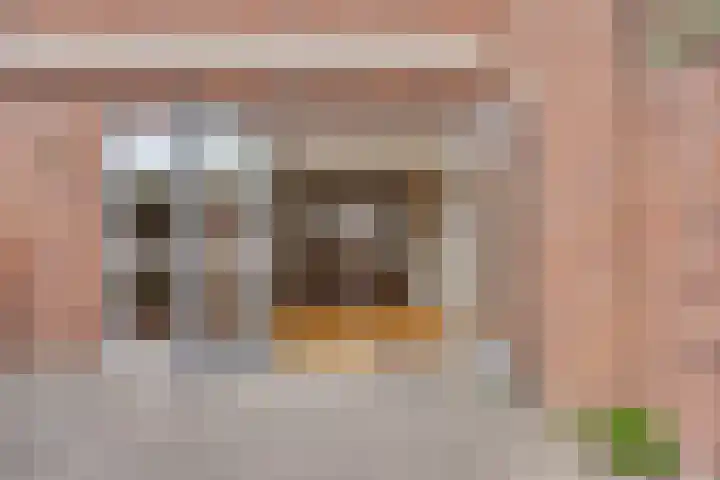 Zomereik 4 Eindhoven thumbnail 43