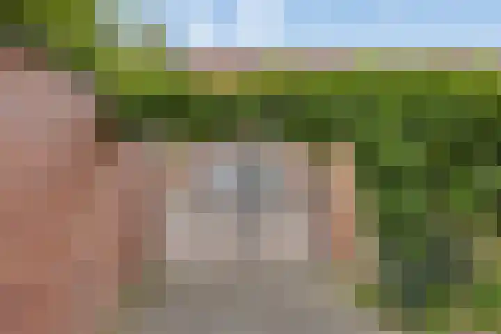 Zomereik 4 Eindhoven thumbnail 45