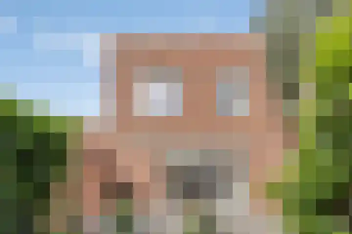 Zomereik 4 Eindhoven thumbnail 46