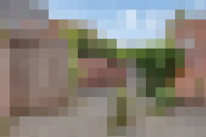 Zomereik 4 Eindhoven thumbnail 47