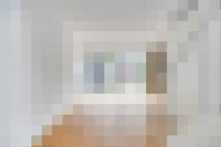 Zomereik 4 Eindhoven thumbnail 5