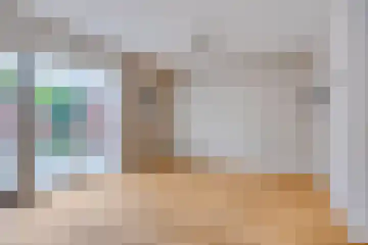 Zomereik 4 Eindhoven thumbnail 7