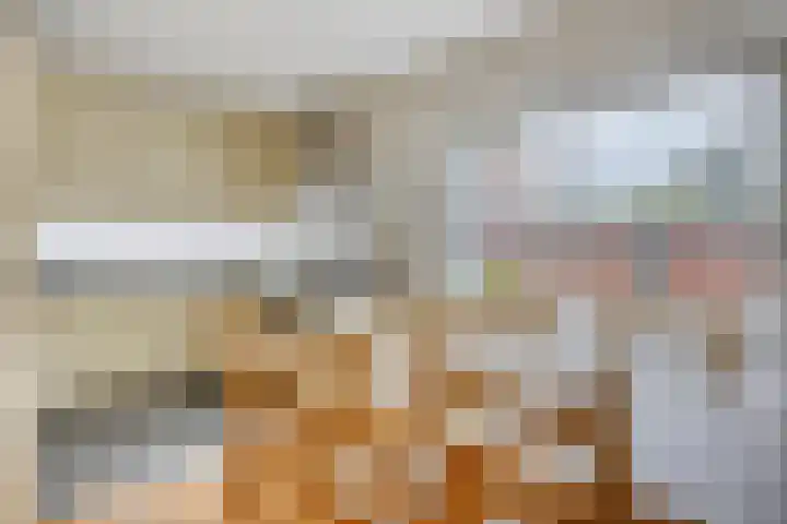 Zomereik 4 Eindhoven thumbnail 8