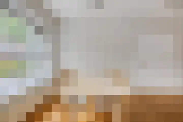 Zomereik 4 Eindhoven thumbnail 9
