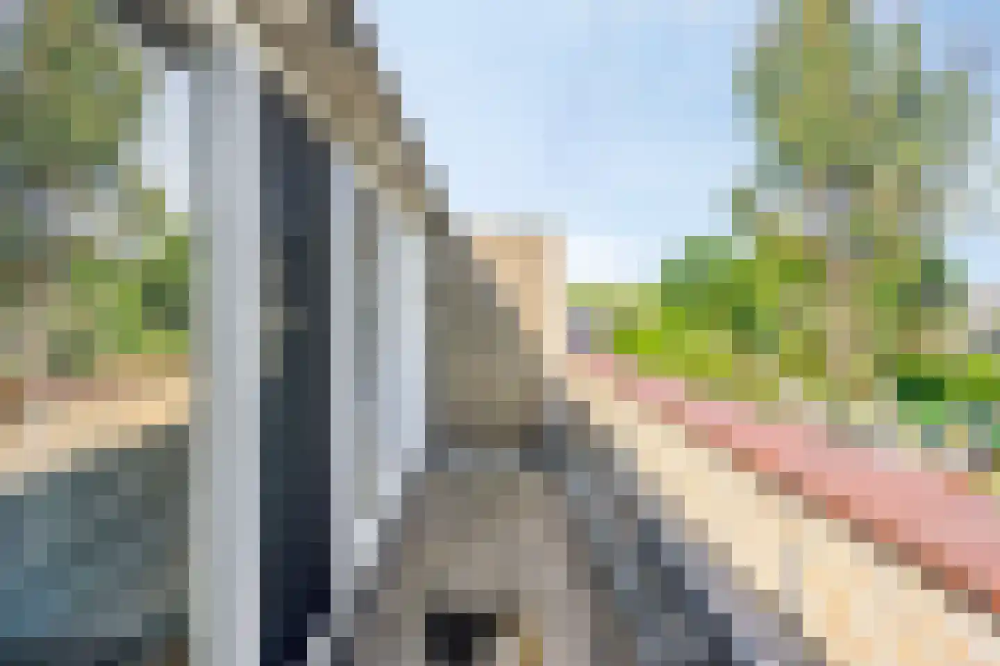 Zomereik 41 Krimpen aan den IJssel thumbnail 23