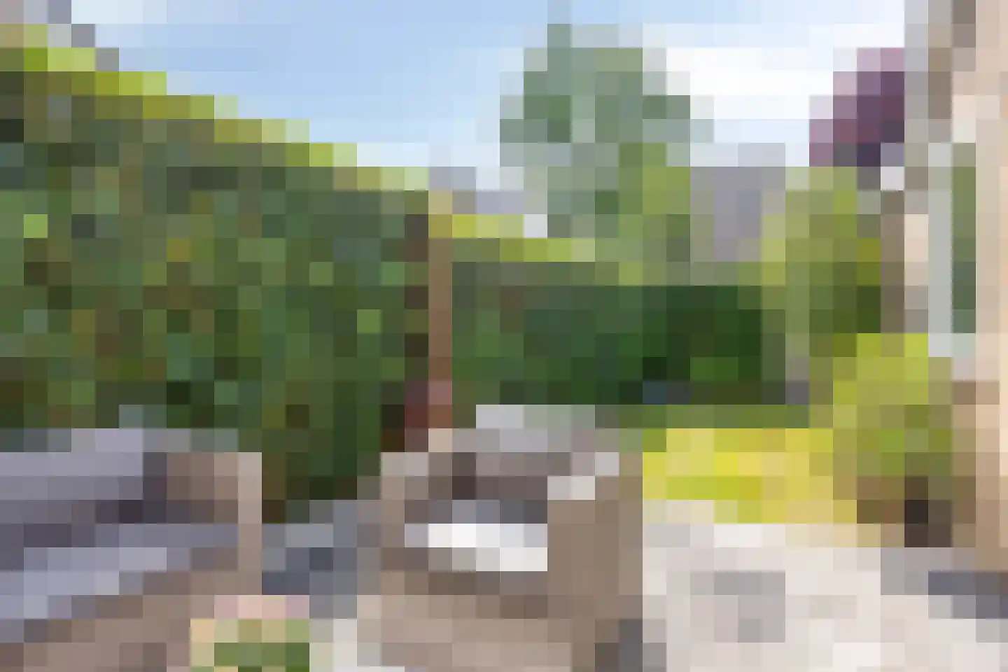 Zomereik 41 Krimpen aan den IJssel thumbnail 25