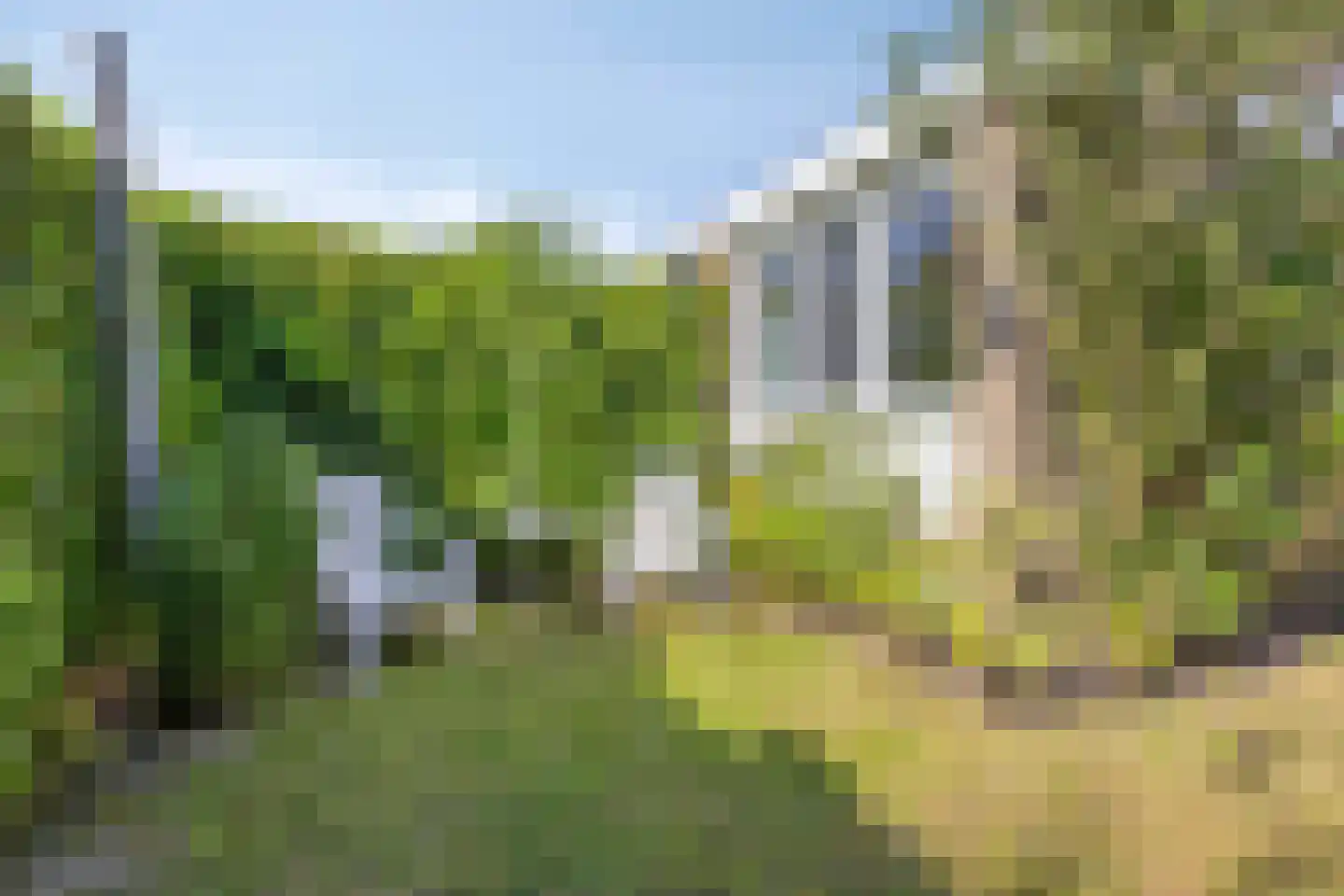 Zomereik 41 Krimpen aan den IJssel thumbnail 26