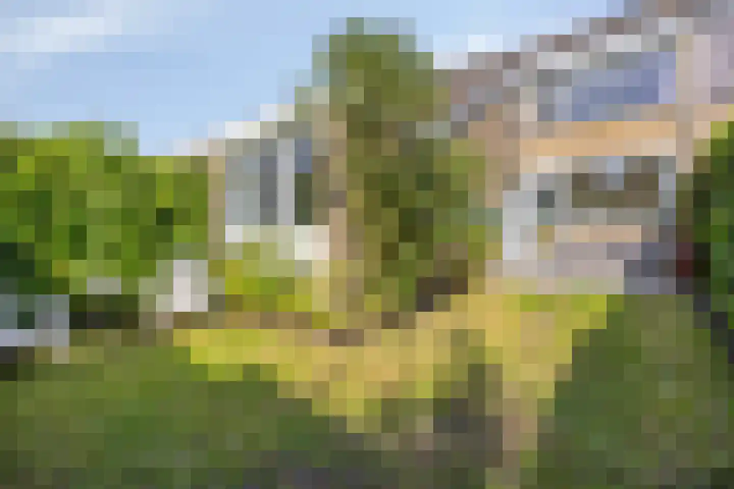 Zomereik 41 Krimpen aan den IJssel thumbnail 27