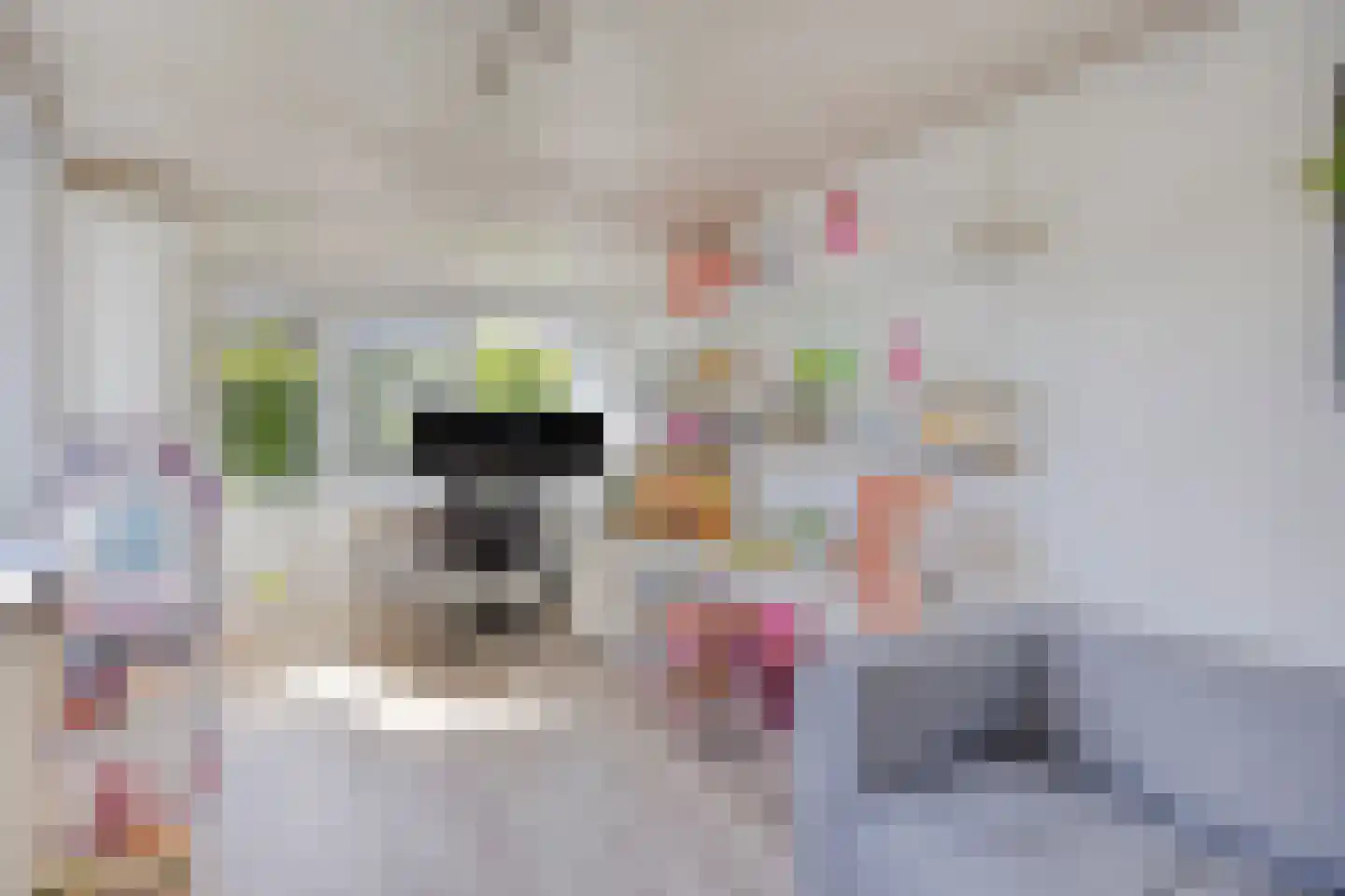 Zomereik 41 Krimpen aan den IJssel thumbnail 8