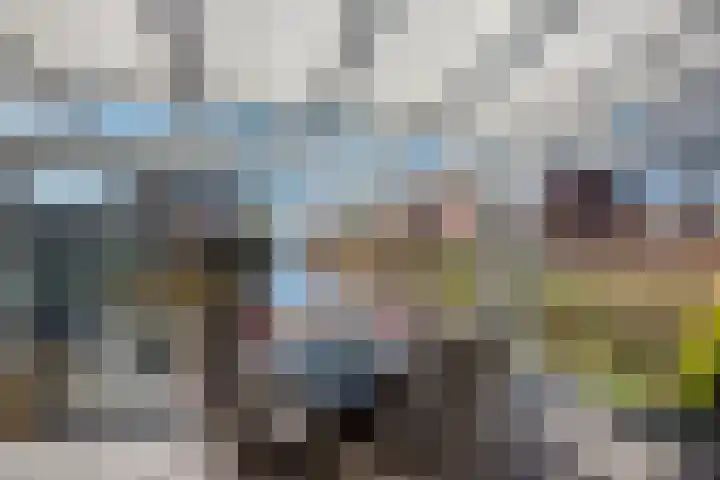 Zomereik 46 Den Haag thumbnail 11