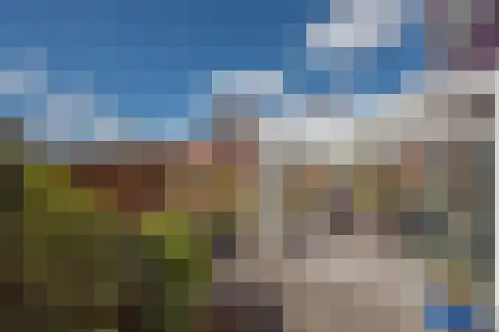Zomereik 46 Den Haag thumbnail 13