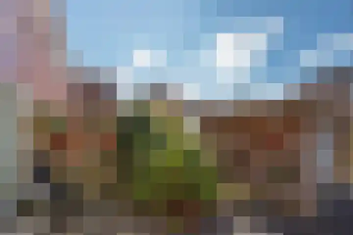 Zomereik 46 Den Haag thumbnail 15